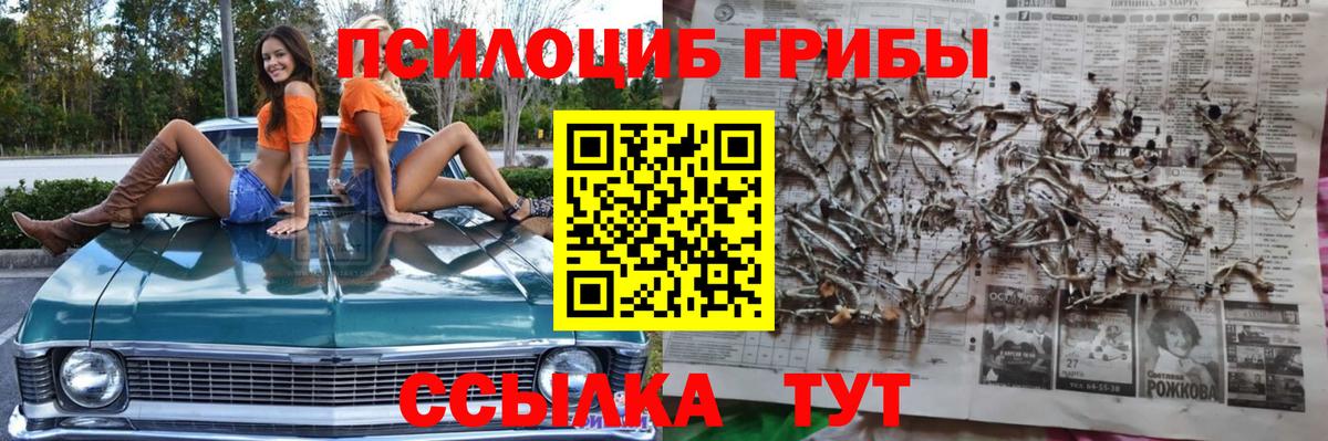 Псилоцибиновые грибы MAGIC MUSHROOMS Вольск
