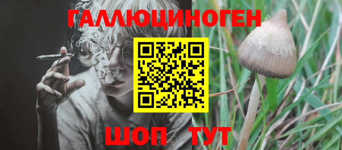 Вольск  Псилоцибиновые грибы MAGIC MUSHROOMS  Вход с VPN 